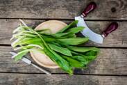 Benefit from the effects of bear garlic. Where is it found and can it be grown?