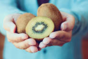 Kiwi is a fruit full of medicinal substances. Where can it be grown?
