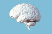Brain abscess: what is it and how does it manifest itself? Why does a brain infection occur?