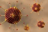 Adenovirus infection: what is adenovirus, what is its transmission and symptoms?
