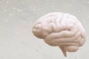 Edema - swelling of the brain: what are its causes and symptoms? + Diagnostics