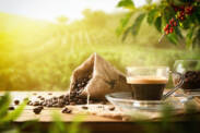 Coffee: what are the types of coffee? Effect not only on weight loss + caffeine and its content