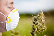 Pollen season strikes: pollen allergy, symptoms, treatment?