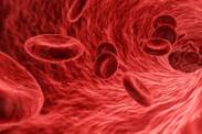 Red blood cell breakdown: what is haemolysis and why does it occur?