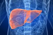 Liver enlargement: what does it signal? What diseases cause it?