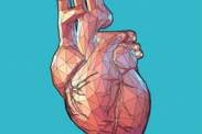 Enlargement of the heart: because of a medical cause or because of sport? (Cardiomegaly)